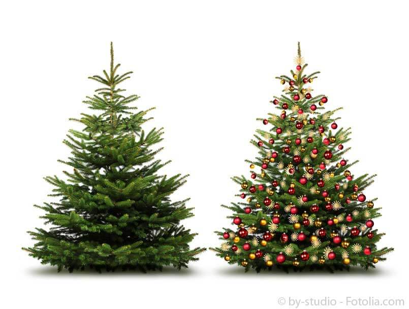 weihnachtsbaum wettbewerb 2014 f 252 r kunden der gartenhaus weihnachtsbaum wettbewerb 2014 f 252 r kunden der gartenhaus