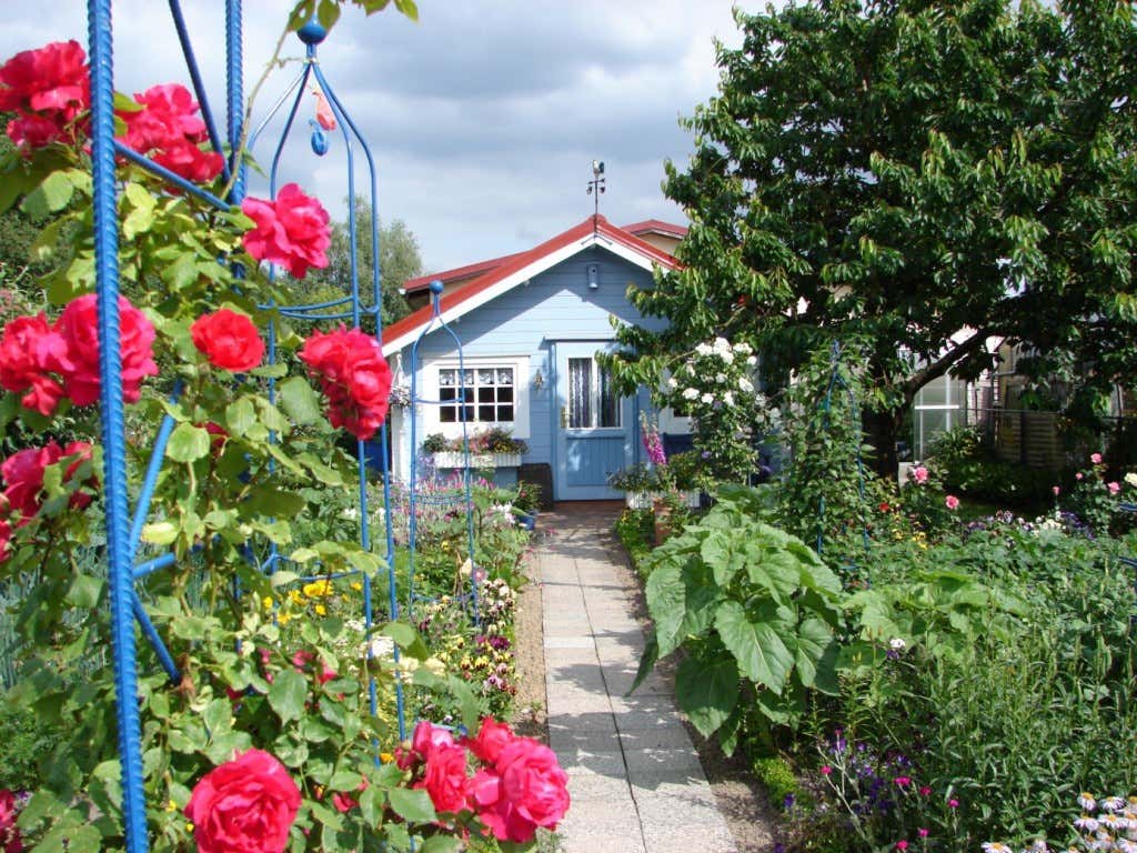 Kleingarten mit Gartenhaus und Rosen