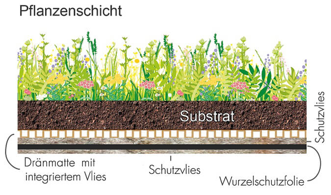 Aufbau einer Dachbegrünung