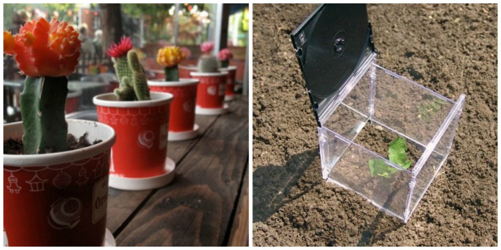 DIY-Blumentöpfe