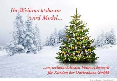 Weihnachtsbaum-Wettbewerb 2014 – für Kunden der Gartenhaus GmbH