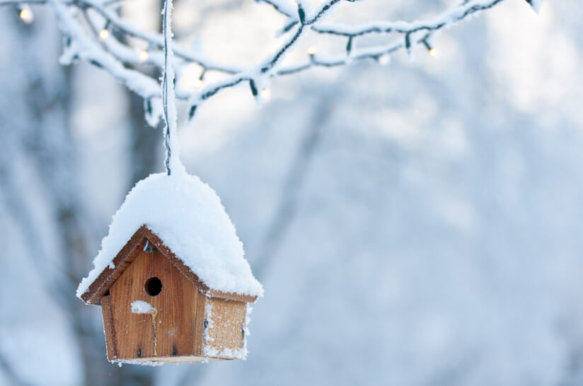 schneebedecktes-Vogelhaus