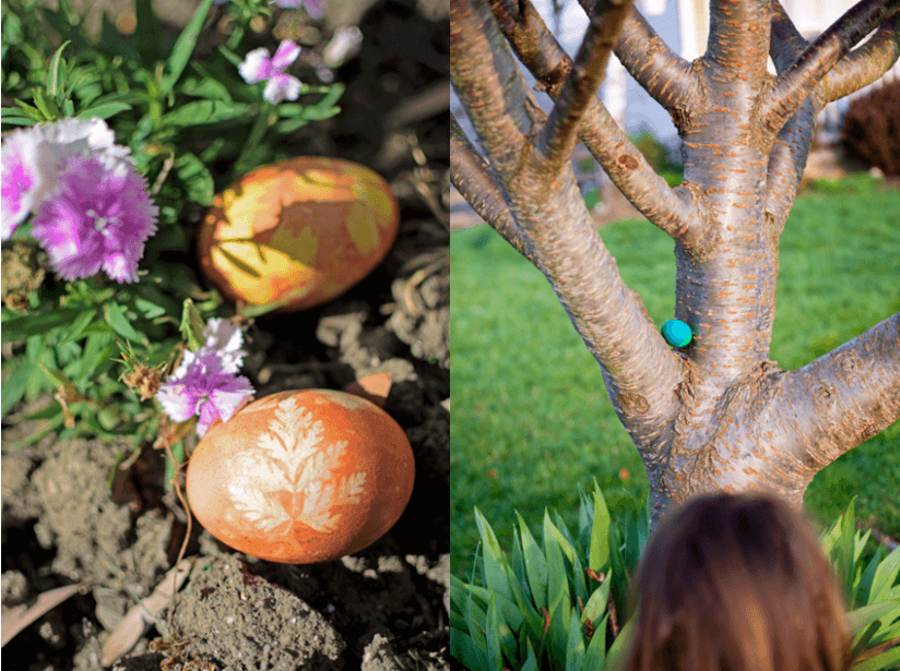 Eier-versteckt-blumen-baum