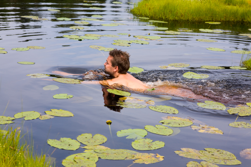 schwimmender-Mann-im-Teich