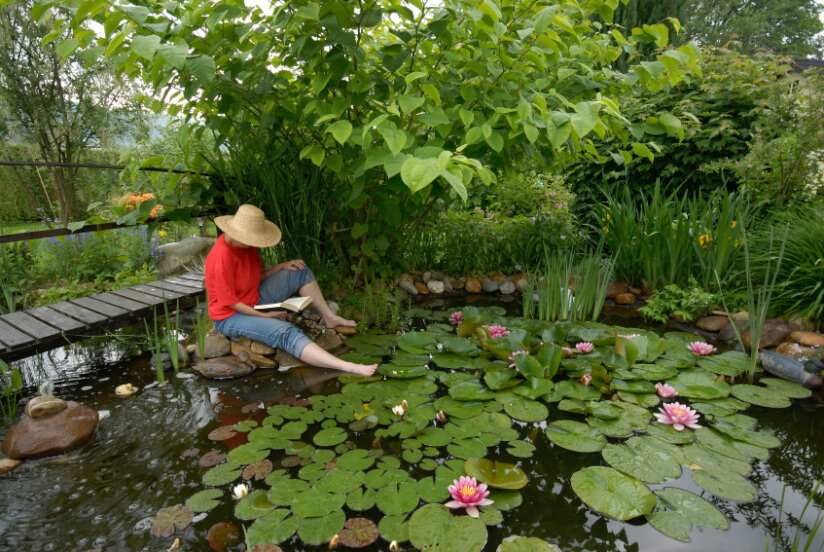 gartenteich mit brucke und bachlauf, teich anlegen – tipps zu planung, bepflanzung und mehr, Design ideen