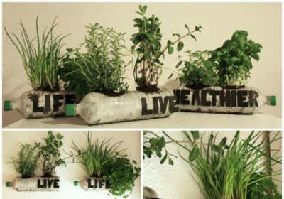 Vertikale Gärten: eine gute Idee, um Ihr Zuhause platzsparend zu bepflanzen – mit DIY-Anleitung!
