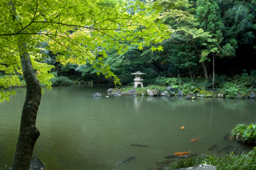 japanischer Garten