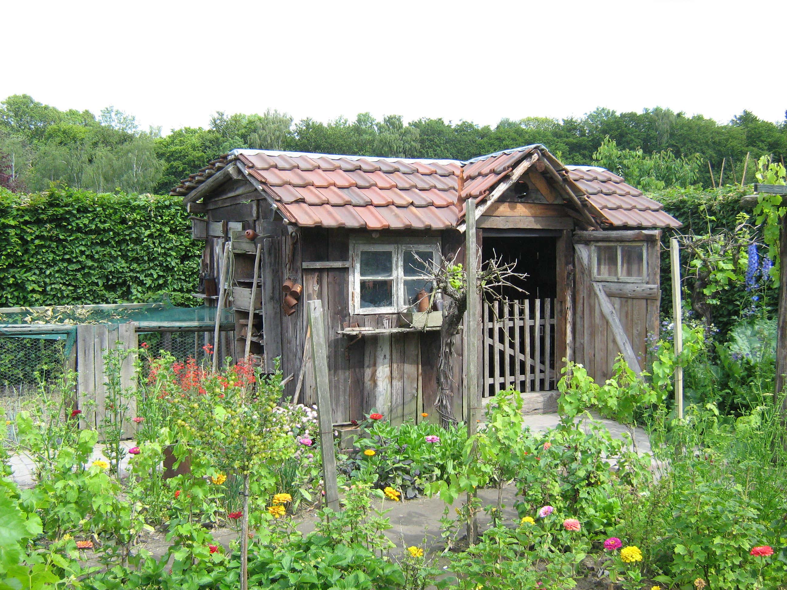 Gartenhaus renovieren: So erneuern Sie Anstrich und Dach