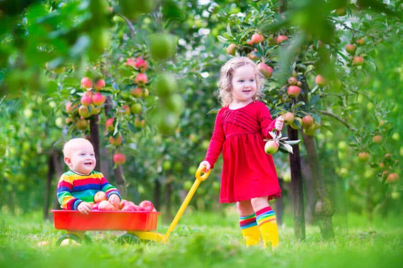 zwei süße Kleinkinder unter Apfelbäumen