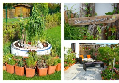 Löwenzahn–Kaffee? Den gibt’s in Arianes Kräutergarten Löwenzahn–Kaffee? Den gibt’s in Arianes Kräutergarten