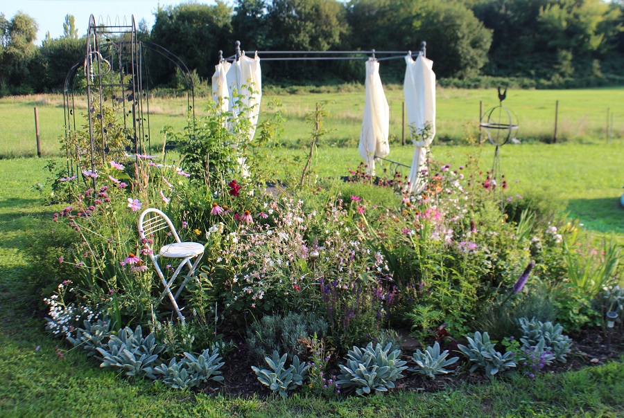 Romantik pur: ein Rosenbett im Garten. 