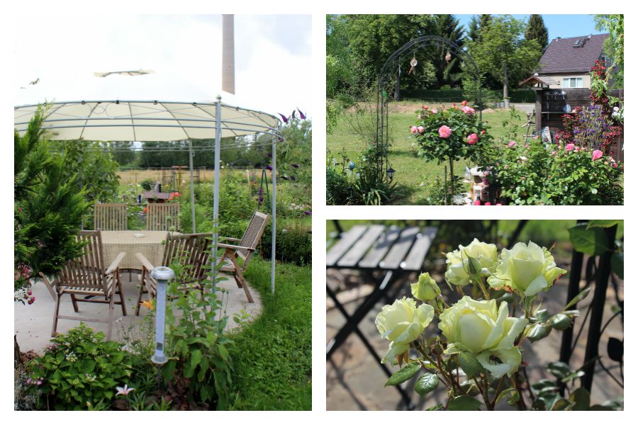 Pavillon mit Sitzecke, Rosen und Hortensien: Danielas Garten wird zu einer kleinen Oase.