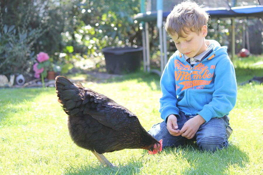 Funny und Enno – auch Ankes Kinder freuen sich, mit so vielen Tieren naturnah aufzuwachsen.