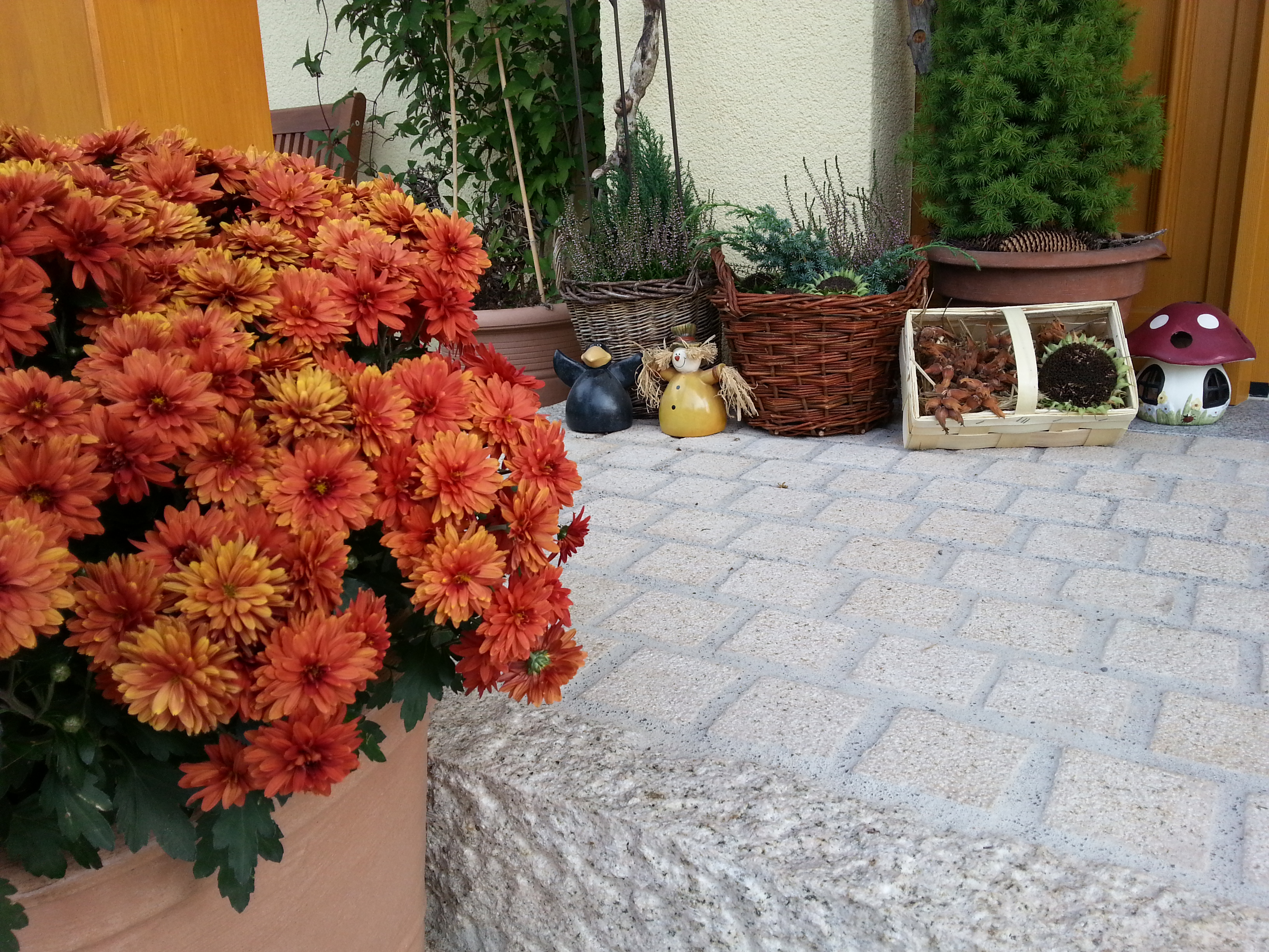 terrasse-herbst-deko-blumen-rot