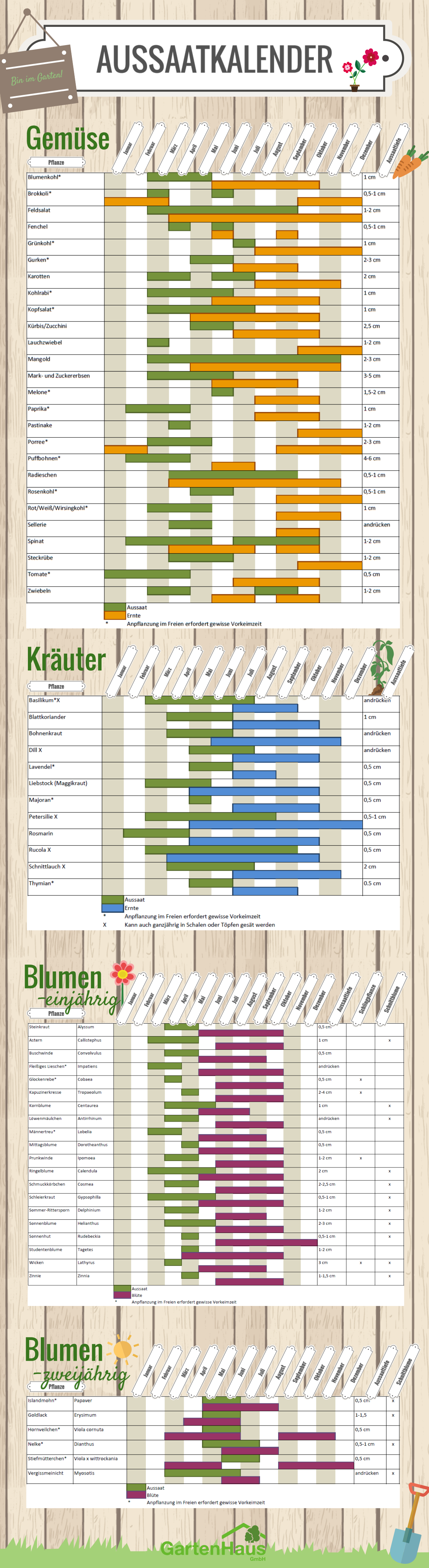Aussaatkalender 2024 Was müssen Sie wann pflanzen?
