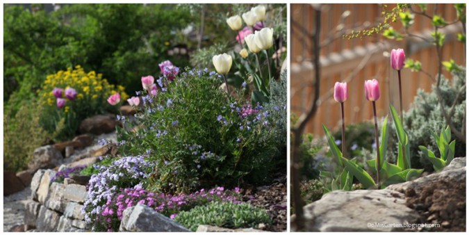 Beete anlegen Inspirationen für Ihre Gartengestaltung