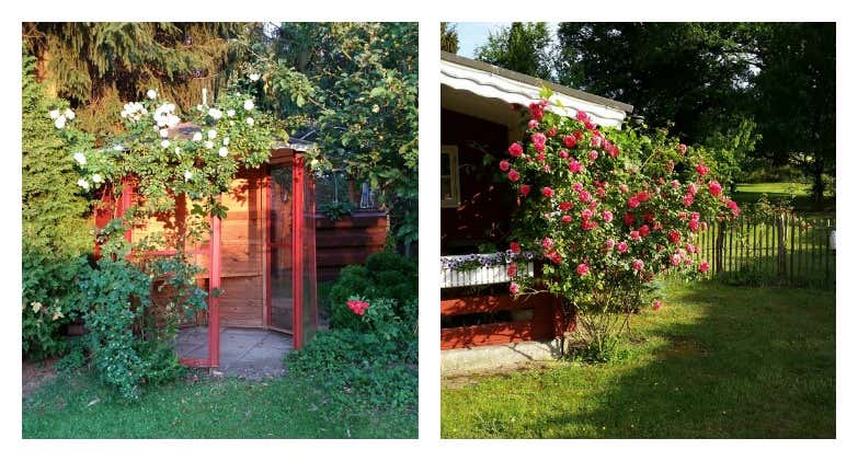 Gartenhaus mit Rosen