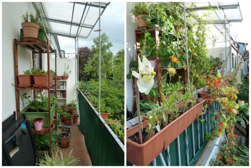 Balkonbepflanzung: Tipps für den Garten auf dem Balkon