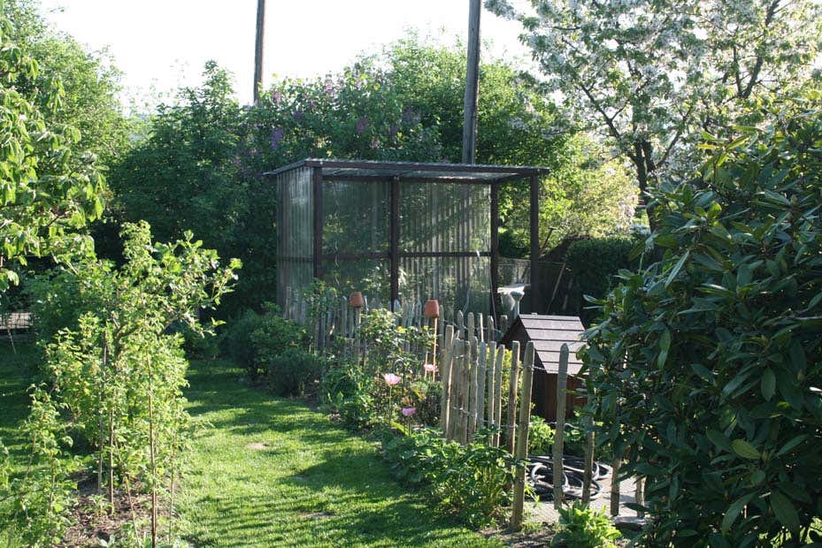 Blick über den Zaun auf das selbstgebaute Tomatenhaus von Frau Meise und ihren Gemüsegarten.