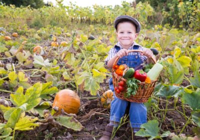 Herbstgemüse: Was Sie jetzt noch anpflanzen können Herbstgemüse-Kind-Ernte