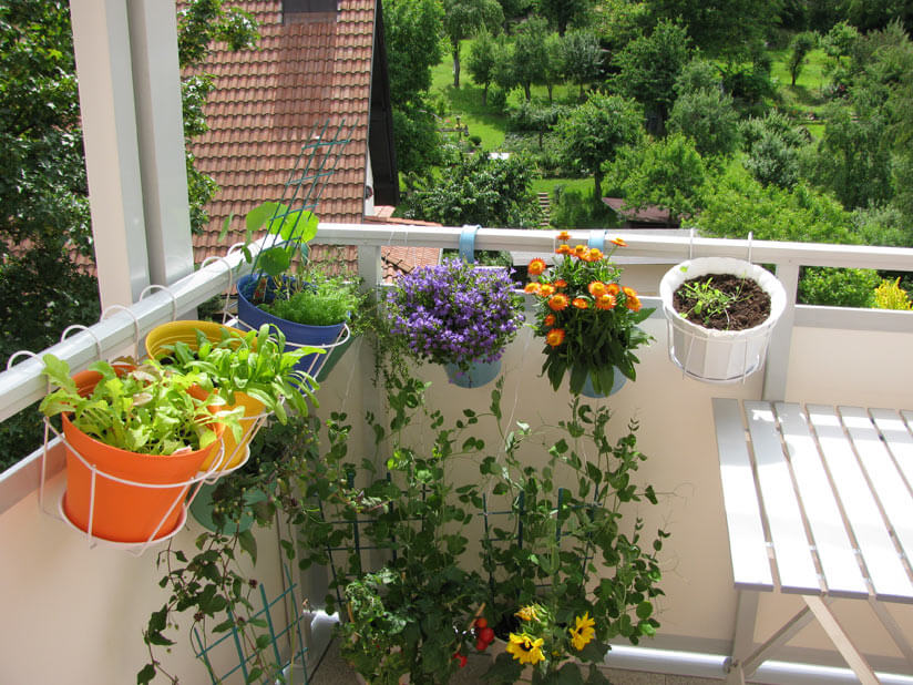 Blumeneimer auf Balkon