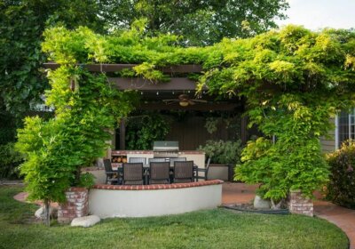 Sichtschutz für die Terrasse – so sperren Sie neugierige Blicke aus! Sichtschutz aus Kletterpflanzen für Terrasse