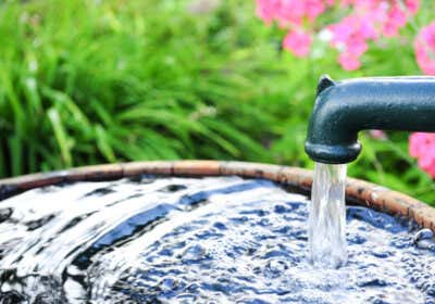 Wasser im Garten: Alles, was Sie zum Brunnen anlegen wissen müssen