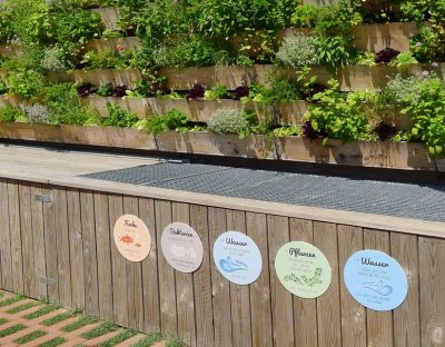 aquaponic-garten - GartenHaus Magazin