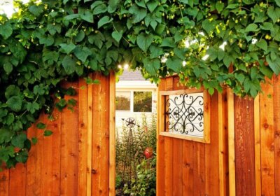 Sichtschutzzaun aufstellen & Privatsphäre schaffen: Das müssen Sie wissen Gartenzaun Holz mit Efeu