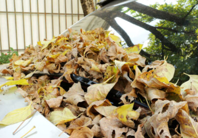 Windlast Carport: Warum Sie wissen sollten, in welcher Windlastzone Ihr Carport steht