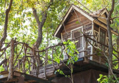 Ein Garten für Kinder: Baumhaus selber bauen – so geht’s!