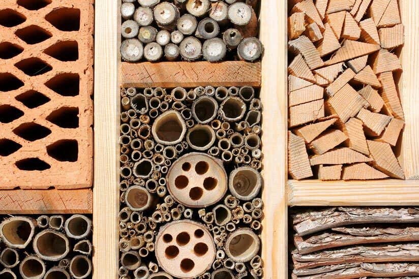 Insektenhotel Material Äste Holz