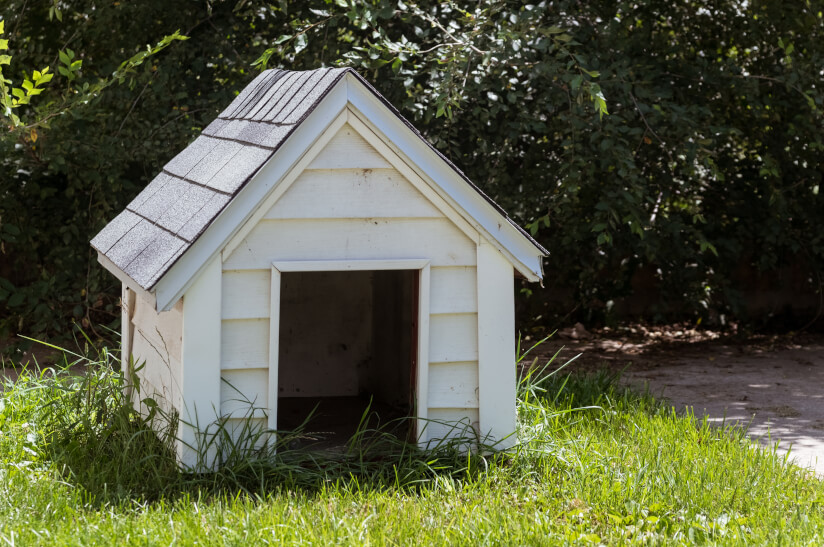 Hundehütte