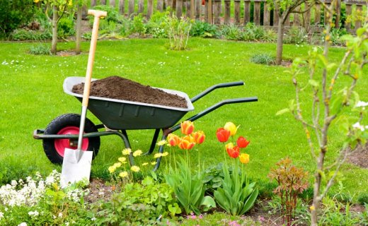 Umweltfreundlicher Garten: 10 Schritte, um Ihren Garten umweltfreundlich zu gestalten! Garten Schubkarre Schaufel