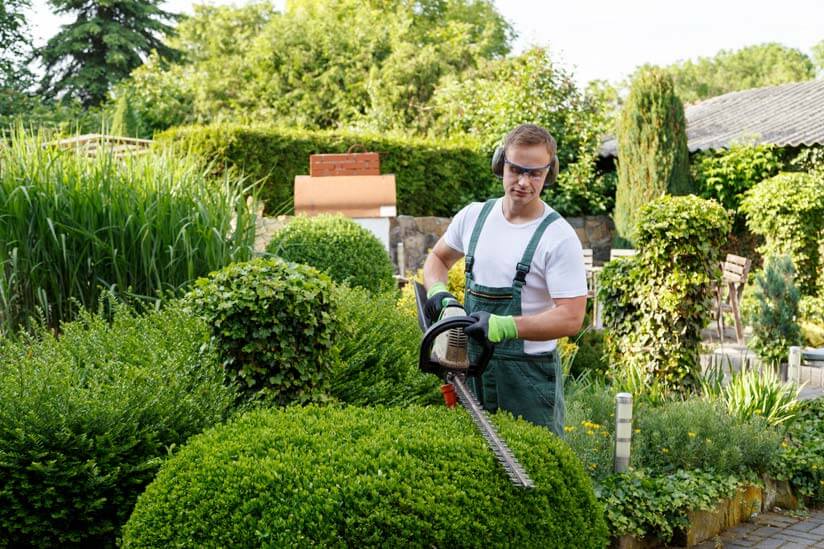 Gartenpflege Mieter Baum schneiden