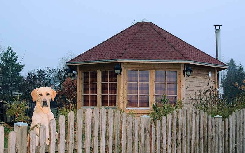 Pavillon mit Hund