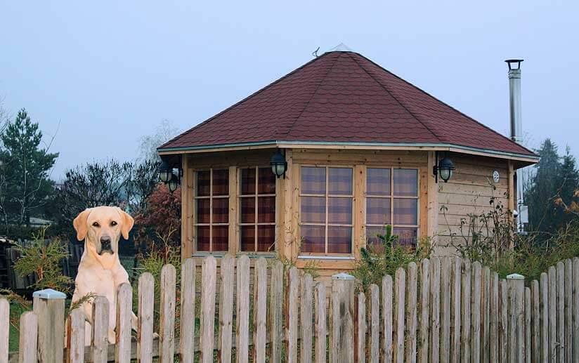 Pavillon mit Hund