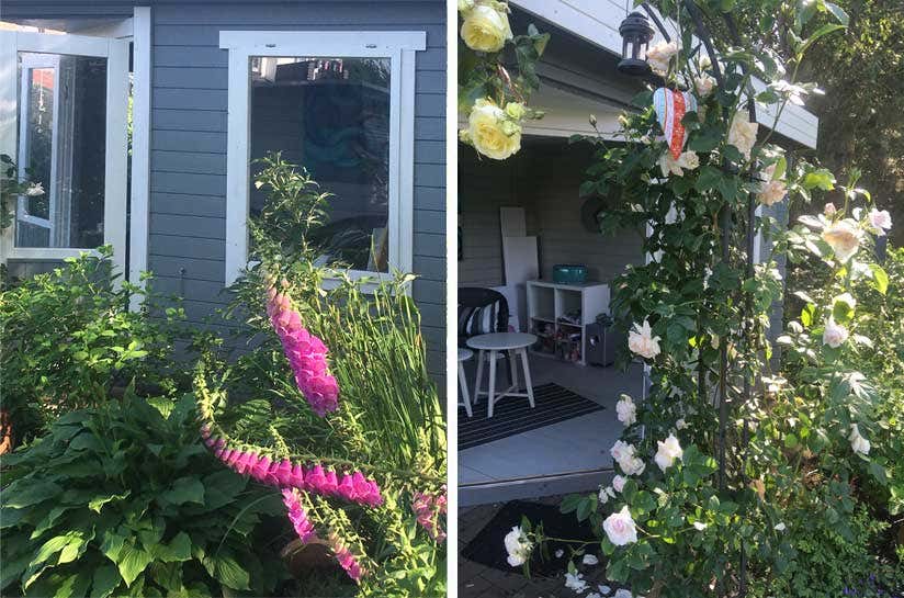 Rosen und Fingerhut rund ums Gartenhaus
