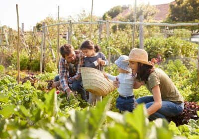 Nachhaltiger Garten – darauf kommt’s an: 11 Regeln für richtiges, grünes Gärtnern