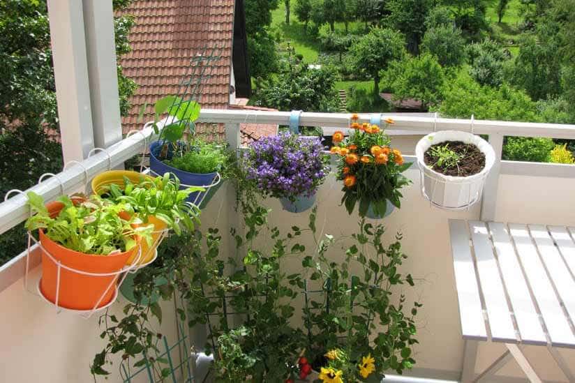 Blumenkasten auf Balkon