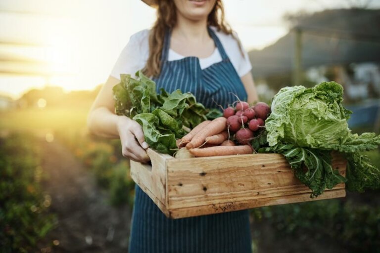 Nutzpflanzen im Garten Das müssen Sie wissen!