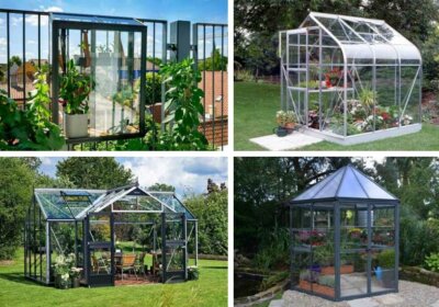 Besondere Gewächshäuser: Ausgefallene Gewächshäuser für Ihren Garten besondere Gewächshäuser Teaser