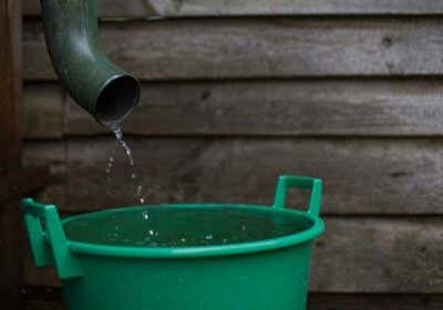 Regenwasser sammeln und nutzen: Tipps & Tricks