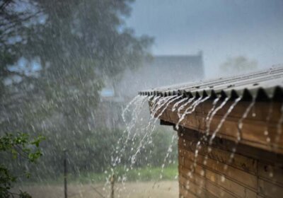 Regenwasser nutzen für Haus und Garten: Wie’s einfach geht und was es bringt Regenwasser nutzen für Haus und Garten: Wie’s einfach geht und was es bringt