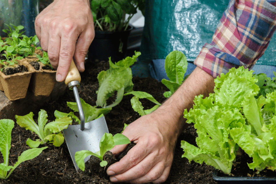 Gartenarbeit rückenschonend organisieren: So geht’s!