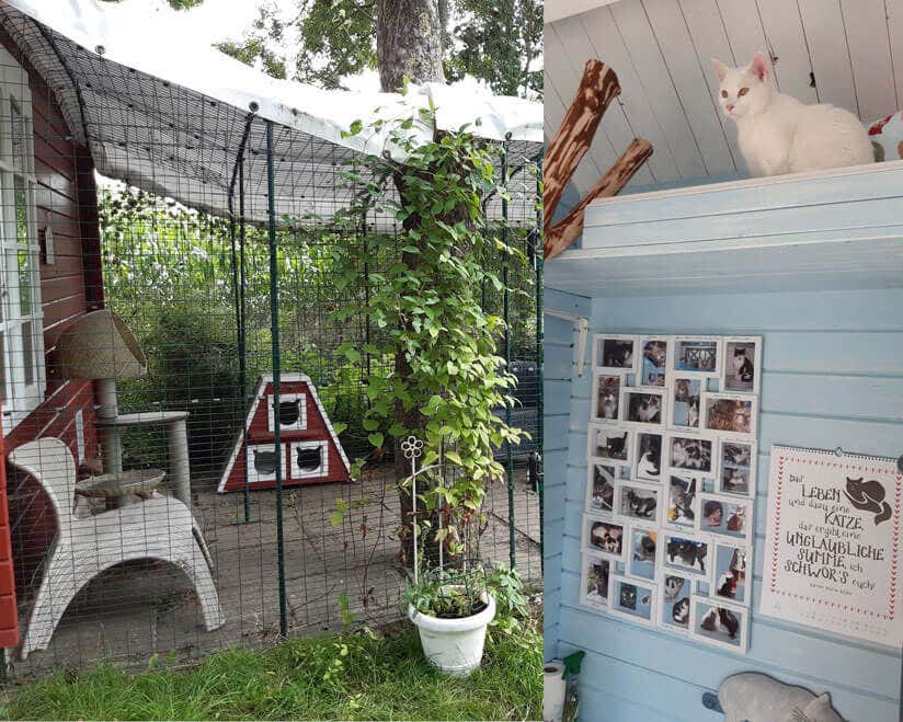 einzigartiges Gartenhaus - Katzenhaus 