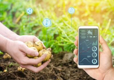 Smart Garten: Wie kann ich meinen Garten smarter nachrüsten? messen-pflanzen