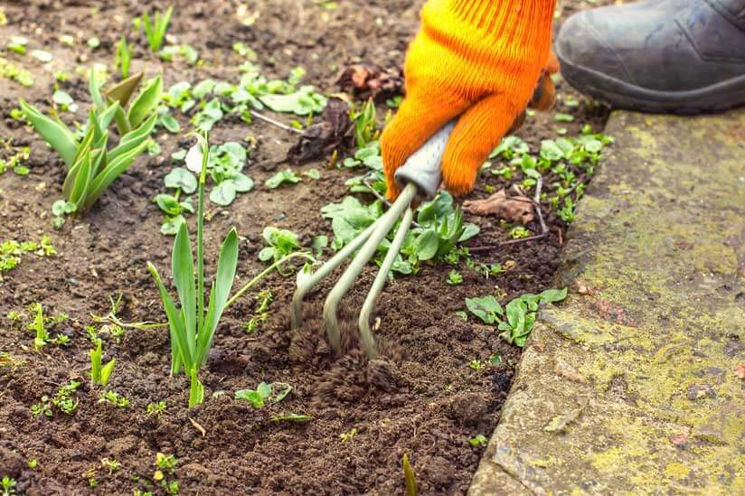 Günstig gärtnern: 15 Tipps, mit denen Sie bares Geld sparen