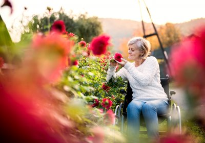 Garten barrierefrei machen: So gestalten Sie Ihren Garten behindertengerecht!