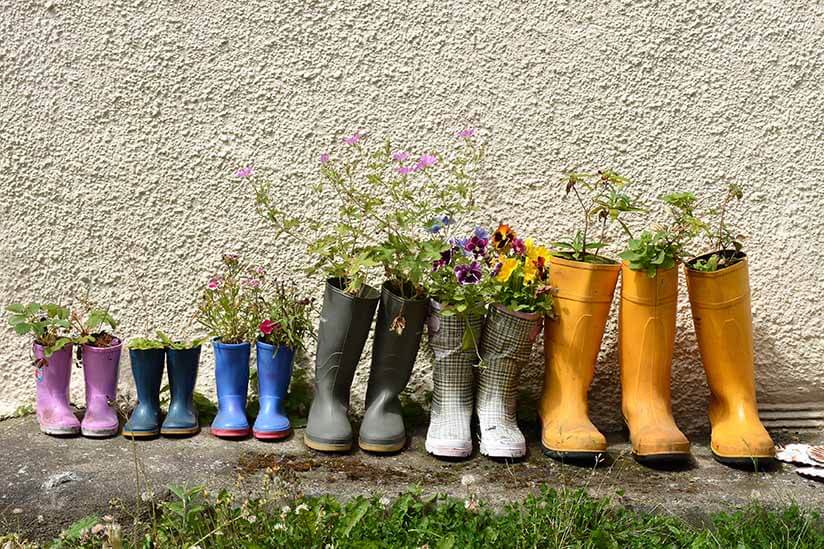 Gummistiefel mit Pflanzen, Blumen bepflanzt